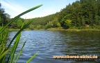 Heilbachsee im Sommer