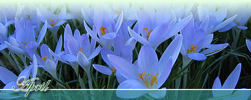 Eventkalender - April