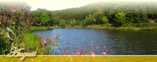 Eventkalender - August