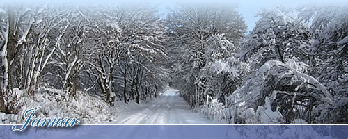 Eventkalender - Januar