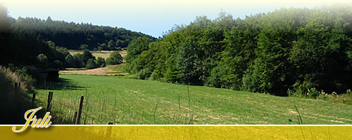 Eventkalender - Juli