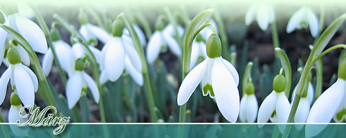 Eventkalender - März