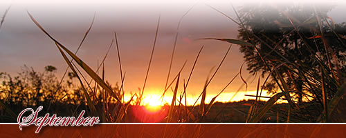 Eventkalender - September