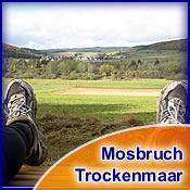Waldhofa am Trockenmaar bei Mosbruch